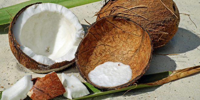 Kokosprodukte sind gesund, aber keine Wundermittel