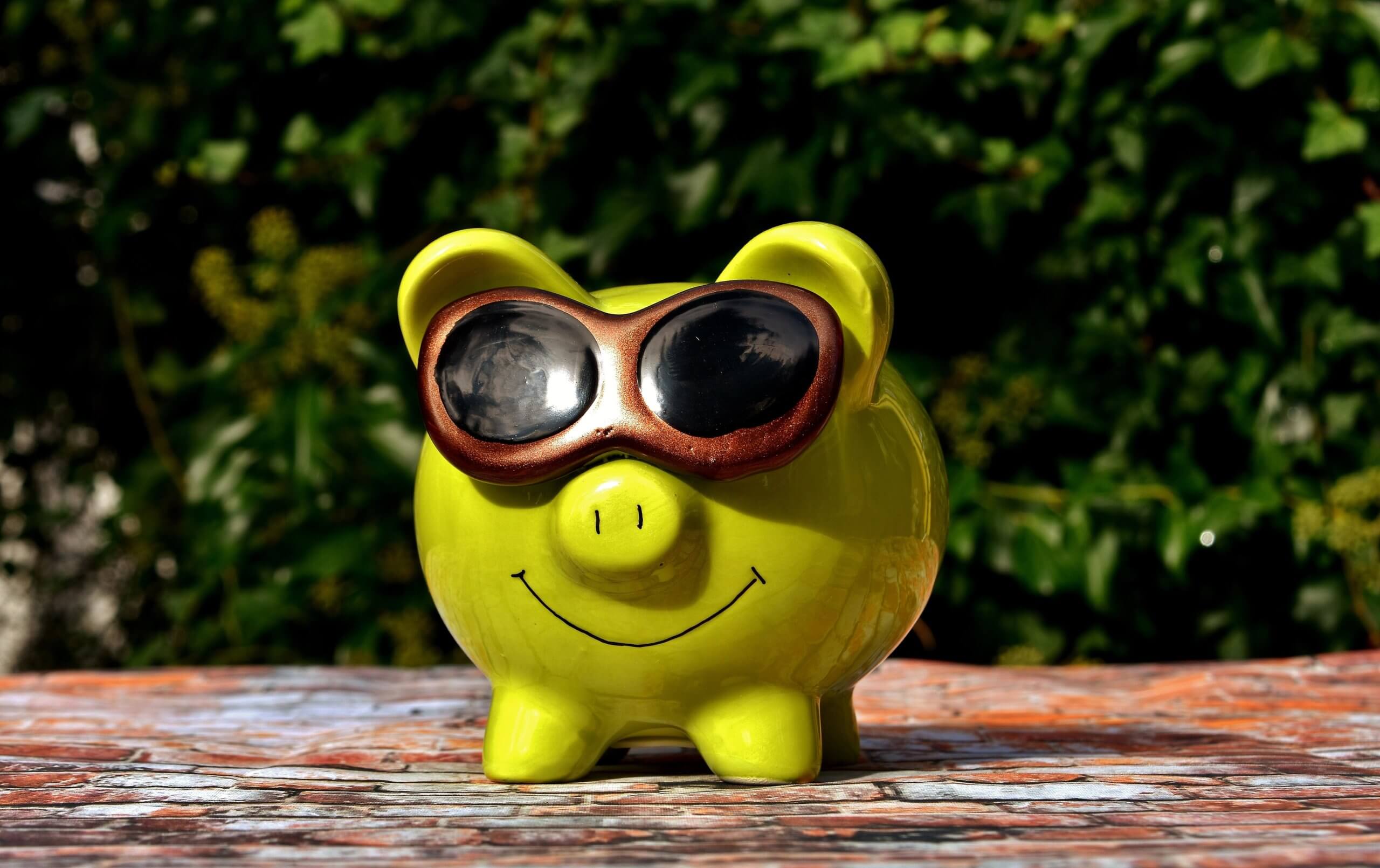 Sparschwein mit Sonnenbrille