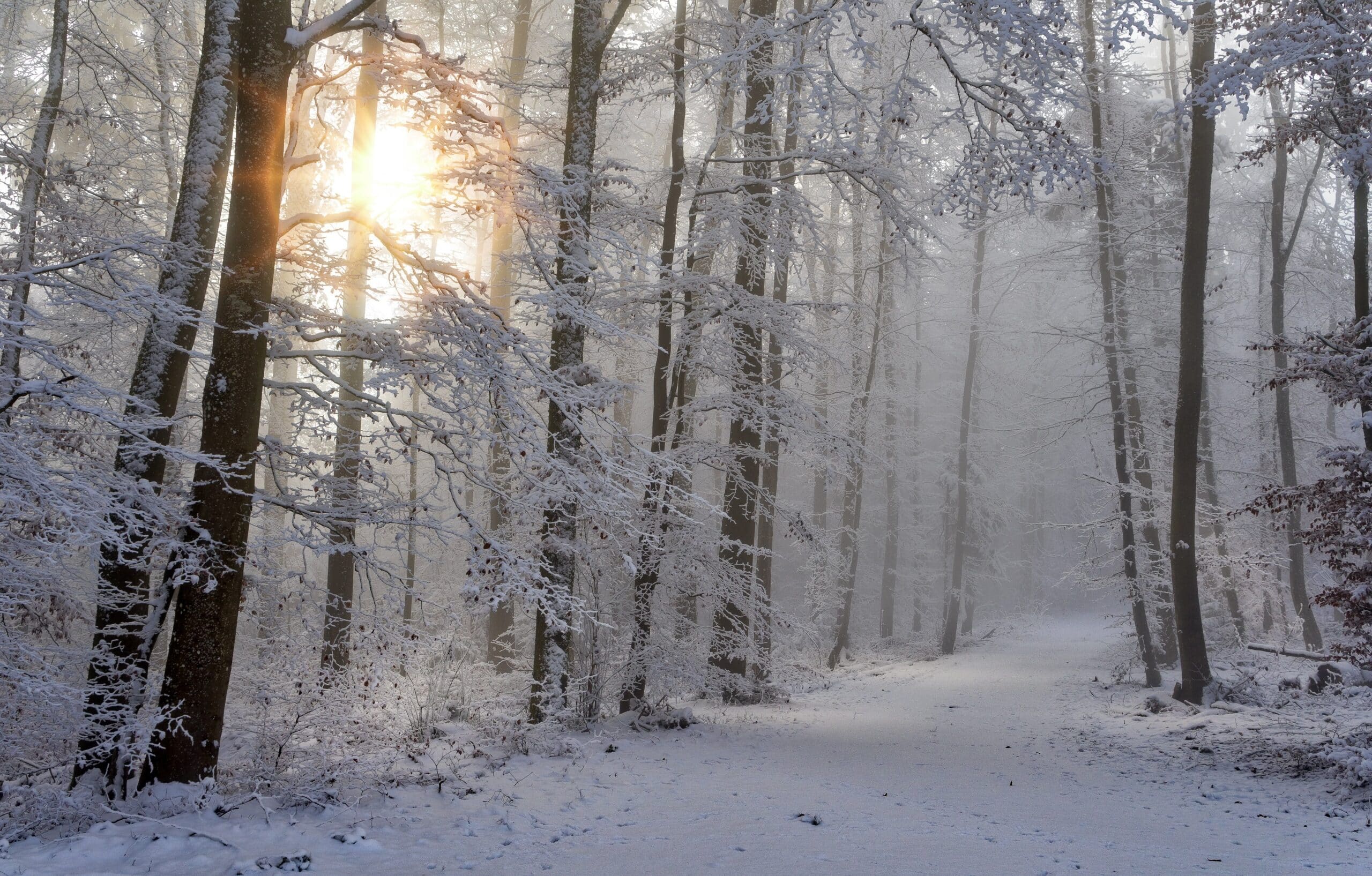 Urlaub im Winter