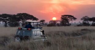 Sonnenuntergang Afrika